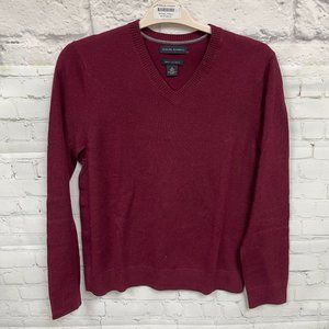 Banana Republic Extra Fine Merino Wool V-Neck Sweater